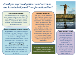 Could you represent patients and carers on the STP?