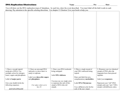 DNA Replication Worksheet