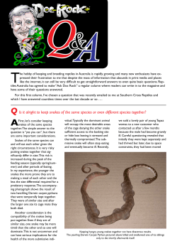 Q Is it alright to keep snakes of the same species or even different