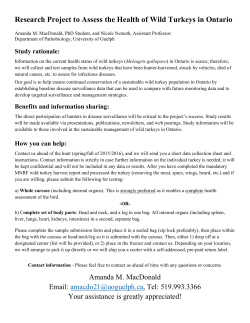 Wild turkey information sheet 2015