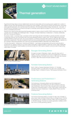 Factsheet: Combined Thermal Generation