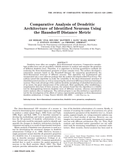 Comparative Analysis of Dendritic Architecture of Identified Neurons