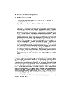 A Potassium-Proton Symport in Neurospora crassa