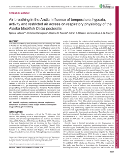 Air breathing in the Arctic: influence of temperature, hypoxia, activity
