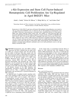 c-Kit Expression and Stem Cell Factor