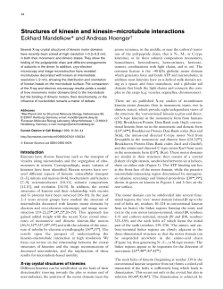 Structures of kinesin and kinesin–microtubule interactions Eckhard