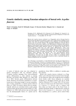 Genetic similarity among Eurasian subspecies of boreal owls