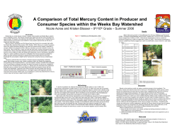 A Comparison of Total Mercury Content in Producer and Consumer