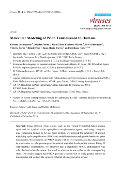 Molecular Modeling of Prion Transmission to Humans