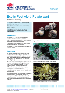 Exotic Pest Alert: Potato wart - NSW Department of Primary Industries