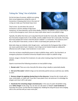 Taking the "Sting" Out of Jellyfish