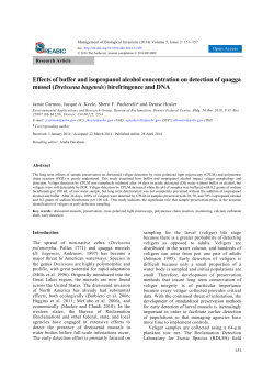 Effects of buffer and isopropanol alcohol concentration on detection
