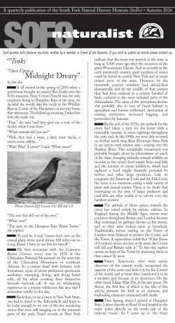 links Midnight Dreary&rdquo; - South Fork Natural History Museum