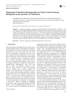 Magnesium Trimethoxyphenylporphyrin Chain Controls Energy