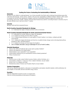 Fueling the Future: Evaluating the Sustainability of Biofuels