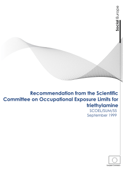 sum 55 new template WEB ready