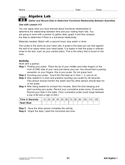 Algebra Lab 4-3