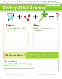 Celery Stick Science