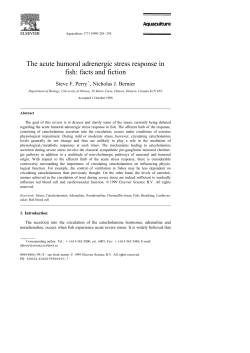 The acute humoral adrenergic stress response in fish: facts and fiction