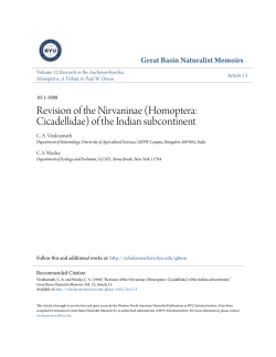 (Homoptera: Cicadellidae) of the Indian subcontinent