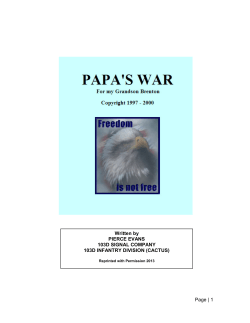 Papa`s War - 103rd Cactus Division