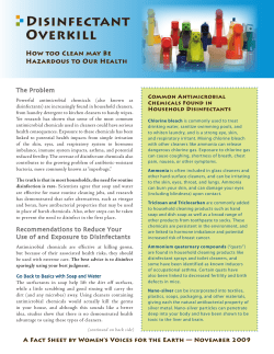 Annual Report 2 - Women`s Voices for the Earth