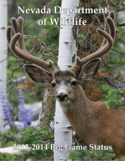 2013 - Nevada Department of Wildlife