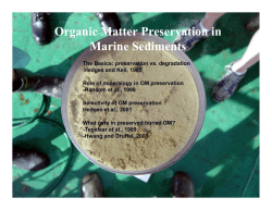 Organic Carbon Preservation in Marine Sediments