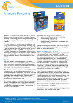 Ammonia Poisoning.pub