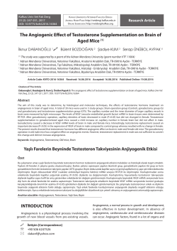 The Angiogenic Effect of Testosterone Supplementation on Brain of