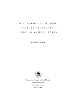 DISCHARGES IN HUMAN MUSCLE AFFERENTS DURING