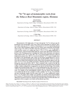 40Ar/39Ar ages of metamorphic rocks from the