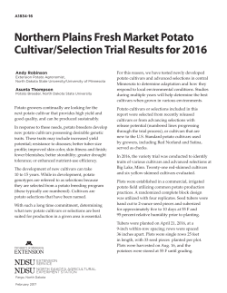 Northern Plains Fresh Market Potato Cultivar