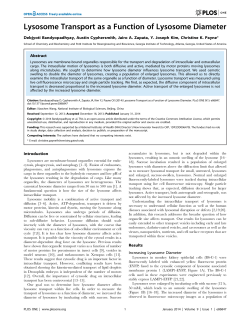 Lysosome Transport as a Function of Lysosome Diameter