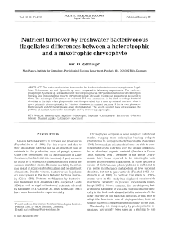 Nutrient turnover by freshwater bacterivorous flagellates: differences