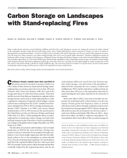Carbon Storage on Landscapes with Stand
