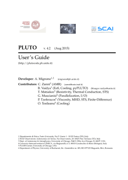 User`s Guide - PLUTO code