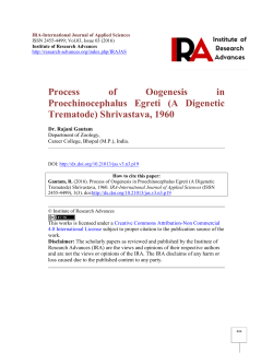 Process of Oogenesis in Proechinocephalus Egreti (A Digenetic