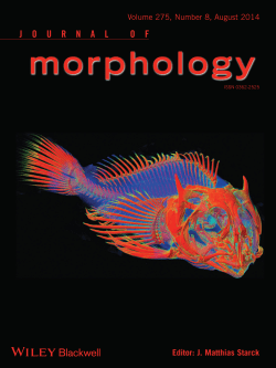 Eastman, J. T., L. M. Witmer, R. C. Ridgely, and