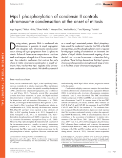 Mps1 phosphorylation of condensin II controls chromosome