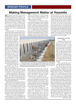 Making Management Matter at Yosemite