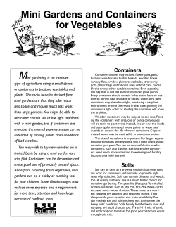 Mini Gardens and Containers for Vegetables