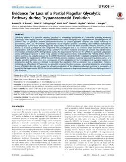 Evidence for Loss of a Partial Flagellar Glycolytic Pathway during