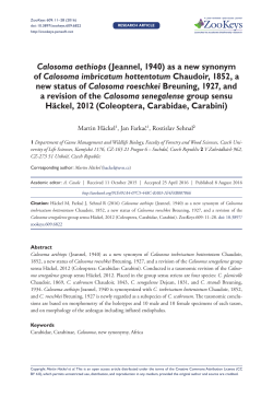 Calosoma aethiops (Jeannel, 1940) as a new synonym of