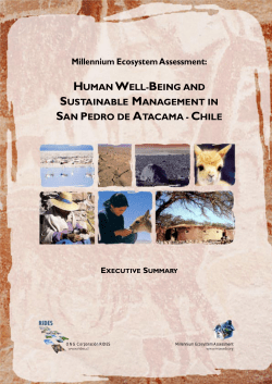 Executive Summary - Millennium Ecosystem Assessment