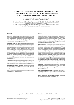 stomatal behavior of different grapevine cultivars in
