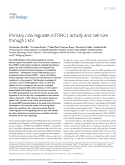 Primary cilia regulate mTORC1 activity and cell size