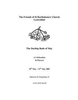 The Friends of St Bartholomew Church Lostwithiel The Darling Buds
