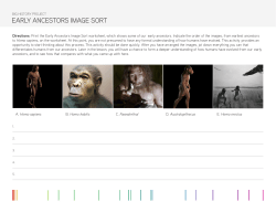 Early Ancestors Image Sort worksheet