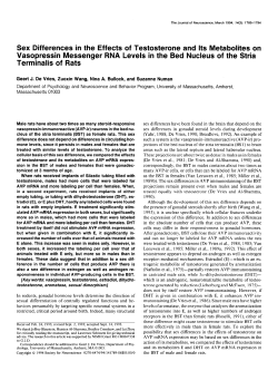 Sex Differences in the Effects of Testosterone and